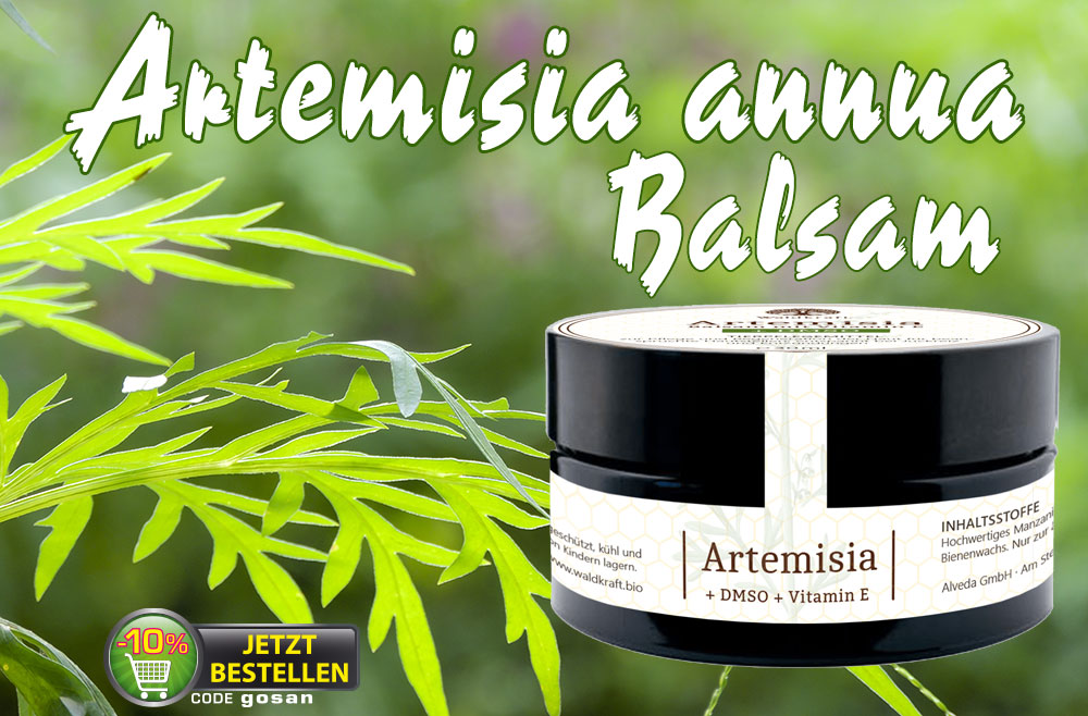 Artemisia Balsam