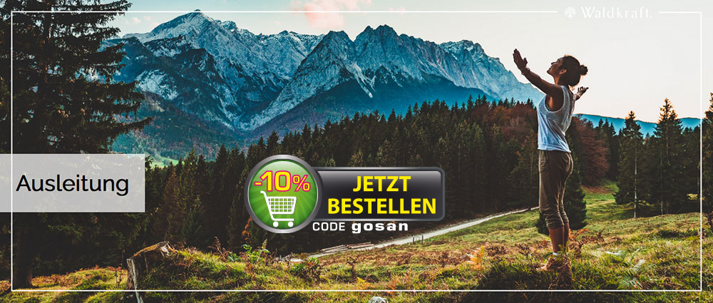 Ausleitung