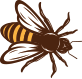 Biene