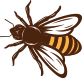 Biene
