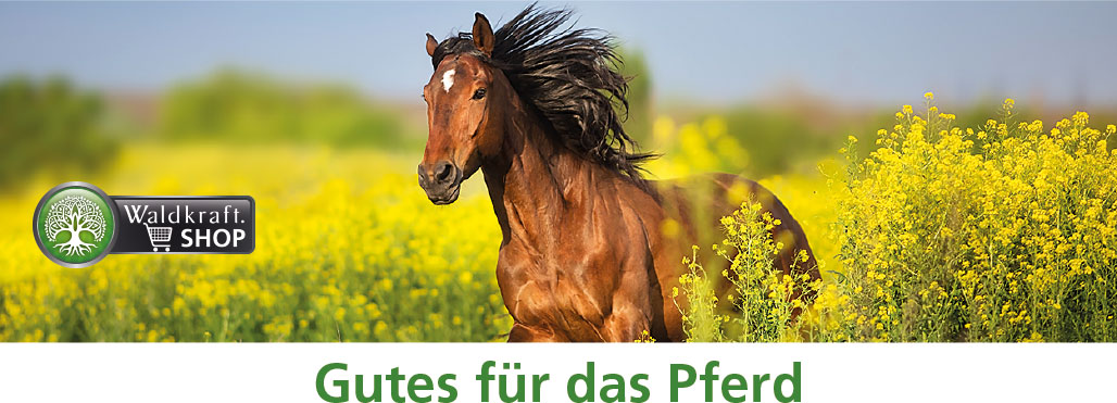 Gutes für das Pferd