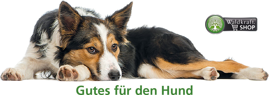 Gutes für den Hund