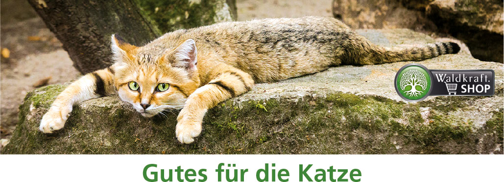 Gutes für die Katze