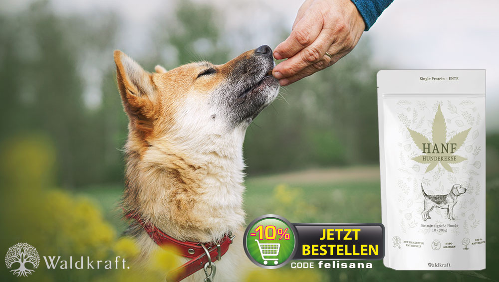 Hundekekse