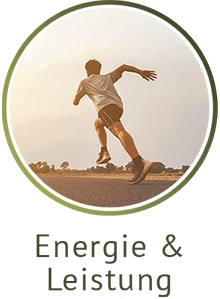 Energie & Leistung