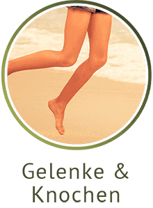 Gelenke & Knochen