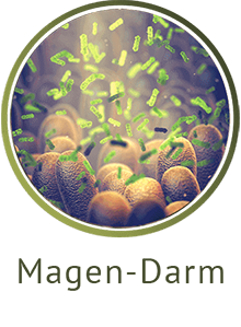 Magen-Darm