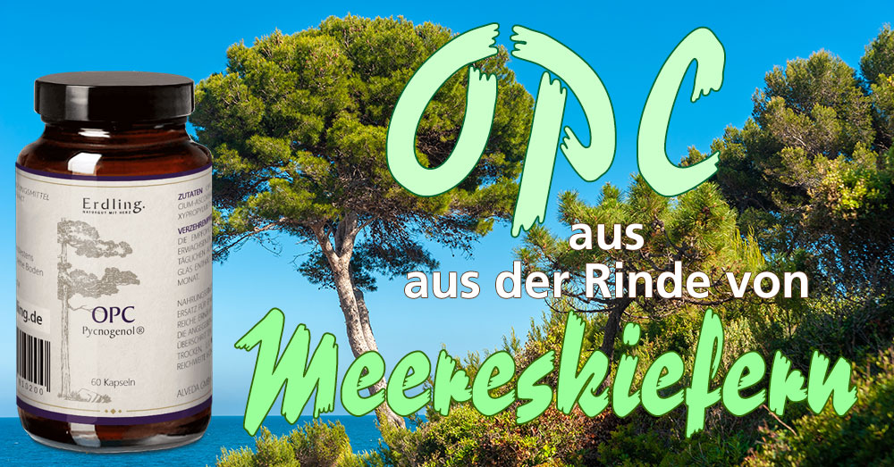 OPC aus Meereskiefern-Rinde