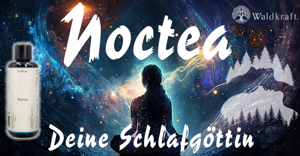 Noctea Deine Schlafgöttin