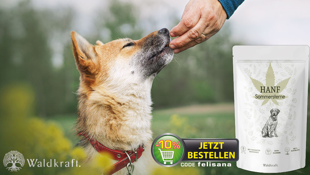 Sommersterne Hundekekse