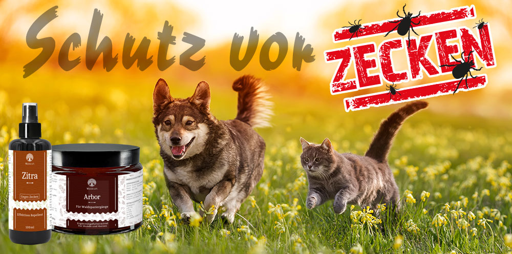 Schutz vor Zecken