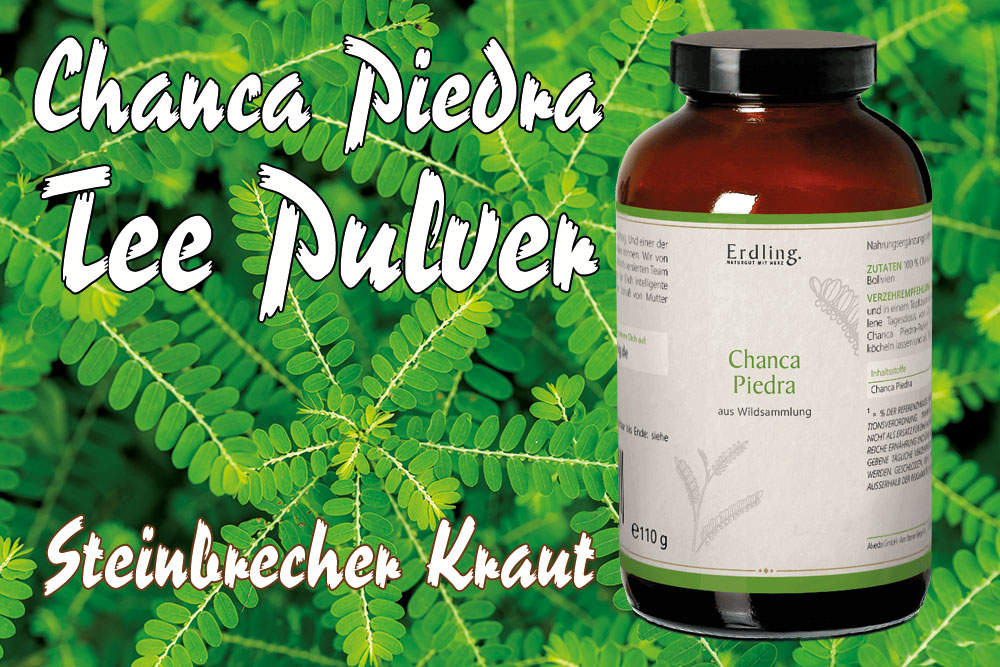 Chanca Piedra Pulver