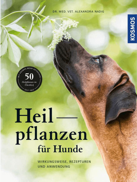 CDL-Handbuch