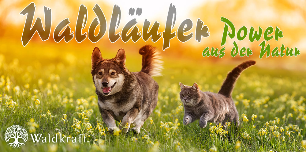 Schutz vor Zecken